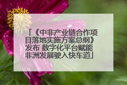 《中非产业链合作项目落地实施方案总纲》发布 数字化平台赋能非洲发展驶入快车道