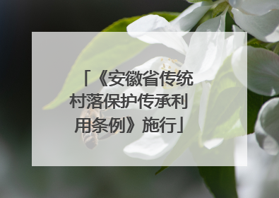 《安徽省传统村落保护传承利用条例》施行
