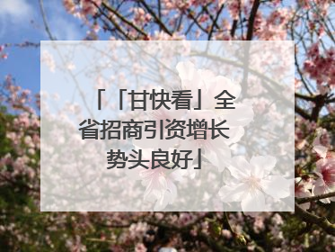 「甘快看」全省招商引资增长势头良好
