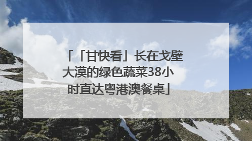 「甘快看」长在戈壁大漠的绿色蔬菜38小时直达粤港澳餐桌