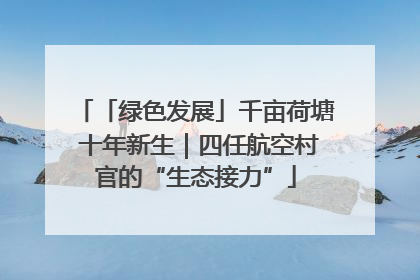 「绿色发展」千亩荷塘 十年新生｜四任航空村官的“生态接力”