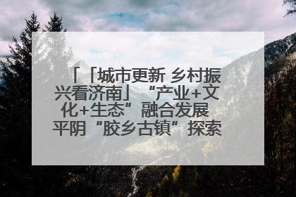 「城市更新 乡村振兴看济南」“产业+文化+生态”融合发展 平阴“胶乡古镇”探索振兴路径成效显著