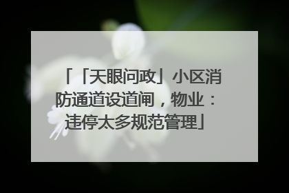 「天眼问政」小区消防通道设道闸，物业：违停太多规范管理