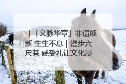 「文脉华章」非遗焕新 生生不息｜漫步六尺巷 感受礼让文化浸润的“巷”往生活
