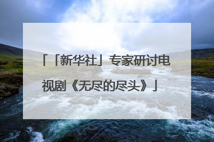 「新华社」专家研讨电视剧《无尽的尽头》
