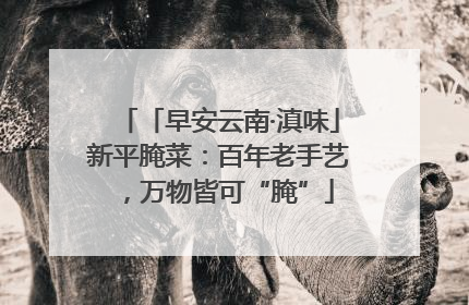 「早安云南·滇味」新平腌菜：百年老手艺，万物皆可“腌”