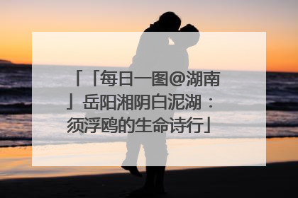 「每日一图@湖南」岳阳湘阴白泥湖：须浮鸥的生命诗行