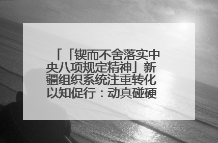 「锲而不舍落实中央八项规定精神」新疆组织系统注重转化以知促行：动真碰硬抓好整改整治