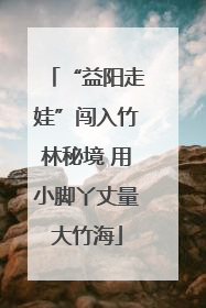 “益阳走娃”闯入竹林秘境 用小脚丫丈量大竹海