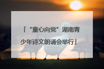 “童心向党”湖南青少年诗文朗诵会举行