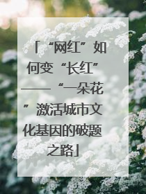 “网红”如何变“长红”——“一朵花”激活城市文化基因的破题之路