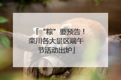 “粽”要预告！栾川各大景区端午节活动出炉
