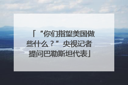 “你们指望美国做些什么？”央视记者提问巴勒斯坦代表