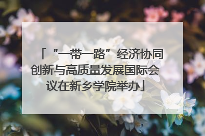 “一带一路”经济协同创新与高质量发展国际会议在新乡学院举办