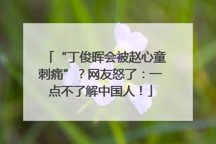 “丁俊晖会被赵心童刺痛”？网友怒了：一点不了解中国人！