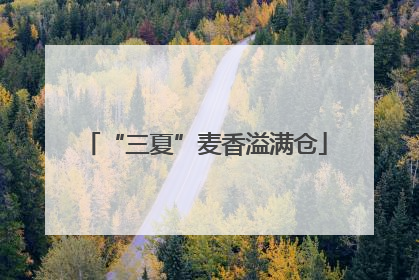 “三夏”麦香溢满仓