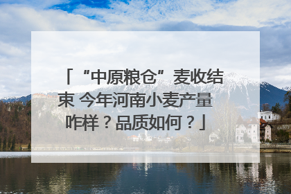 “中原粮仓”麦收结束 今年河南小麦产量咋样？品质如何？