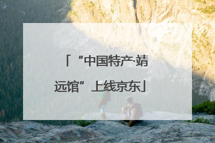 “中国特产·靖远馆”上线京东