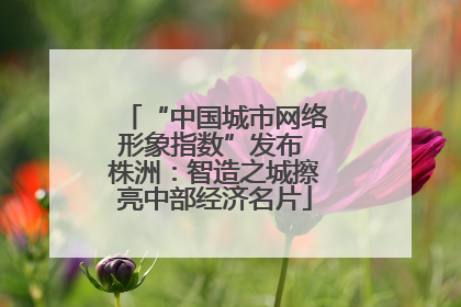 “中国城市网络形象指数”发布 株洲：智造之城擦亮中部经济名片