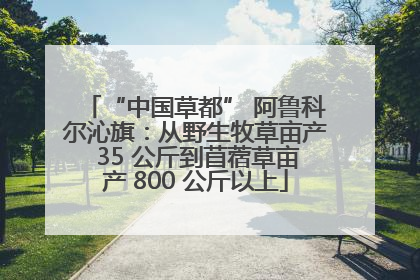 “中国草都” 阿鲁科尔沁旗：从野生牧草亩产 35 公斤到苜蓿草亩产 800 公斤以上
