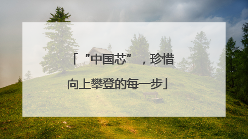 “中国芯”，珍惜向上攀登的每一步