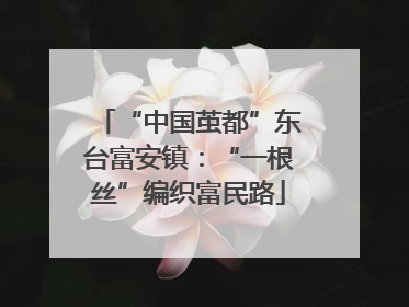 “中国茧都”东台富安镇：“一根丝”编织富民路