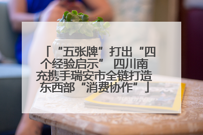 “五张牌”打出“四个经验启示” 四川南充携手瑞安市全链打造东西部“消费协作”