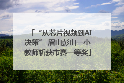 “从芯片视频到AI决策” 眉山彭山一小教师斩获市赛一等奖