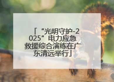“光明守护-2025”电力应急救援综合演练在广东清远举行