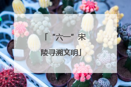 “六一”宋陵寻溯文明
