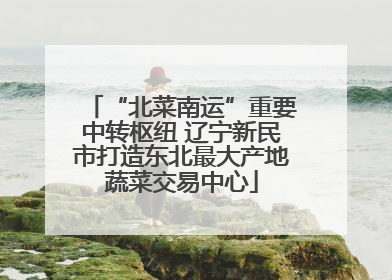 “北菜南运”重要中转枢纽 辽宁新民市打造东北最大产地蔬菜交易中心