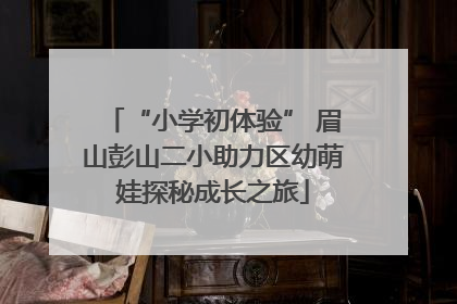 “小学初体验” 眉山彭山二小助力区幼萌娃探秘成长之旅