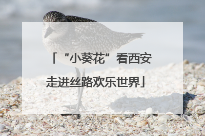 “小葵花”看西安走进丝路欢乐世界