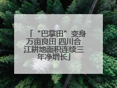 “巴掌田”变身万亩良田 四川合江耕地面积连续三年净增长