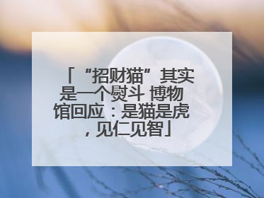 “招财猫”其实是一个熨斗 博物馆回应：是猫是虎，见仁见智