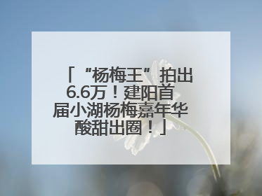 “杨梅王”拍出6.6万！建阳首届小湖杨梅嘉年华酸甜出圈！
