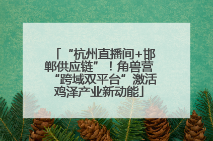 “杭州直播间+邯郸供应链”！角兽营“跨域双平台”激活鸡泽产业新动能