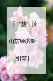“数”读山东经济新引擎