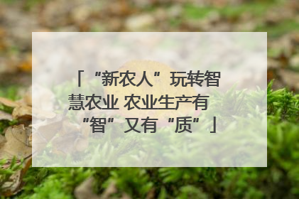 “新农人”玩转智慧农业 农业生产有“智”又有“质”