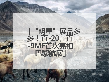 “明星”展品多多！直-20、直-9ME首次亮相巴黎航展