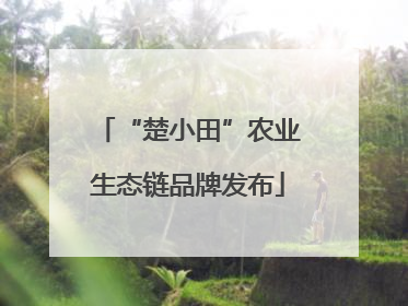 “楚小田”农业生态链品牌发布