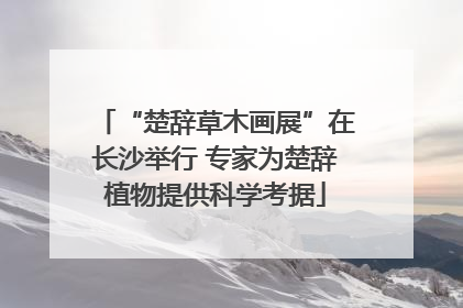 “楚辞草木画展”在长沙举行 专家为楚辞植物提供科学考据