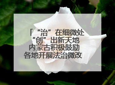 “治”在细微处 “创”出新天地 内蒙古积极鼓励各地开展法治微改革 小创新