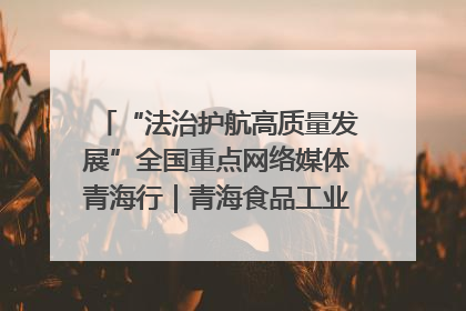 “法治护航高质量发展”全国重点网络媒体青海行｜青海食品工业协会：架起“青字号”美食的产业化桥梁