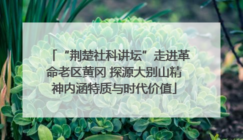 “荆楚社科讲坛”走进革命老区黄冈 探源大别山精神内涵特质与时代价值