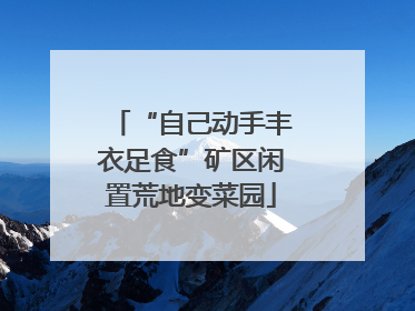 “自己动手丰衣足食”矿区闲置荒地变菜园