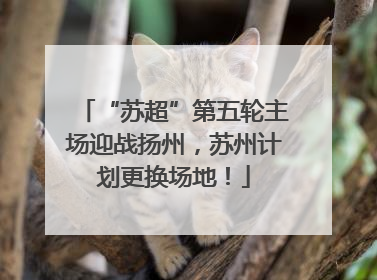 “苏超”第五轮主场迎战扬州，苏州计划更换场地！