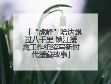 “虎峰”哈达飘过八千里 镇江援藏工作组续写新时代援藏故事