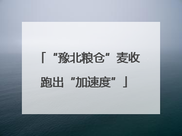 “豫北粮仓”麦收跑出“加速度”