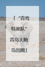 “青鸾特巡队”青岛大鲍岛出圈